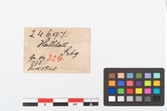 Etikett zu Bronzedreiknopffibel (NHMW-PRAE-024697)